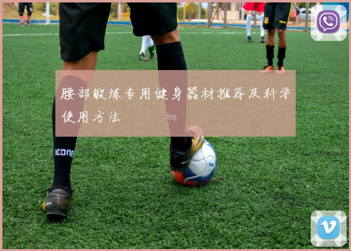 腰部锻炼专用健身器材推荐及科学使用方法